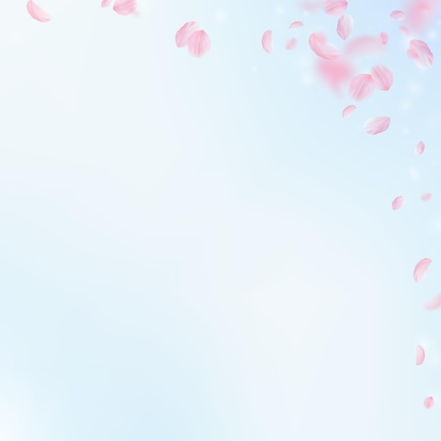 Pétalos de Sakura cayendo Esquina de flores rosadas románticas Pétalos voladores sobre fondo cuadrado de cielo azul Concepto de romance de amor Invitación de boda pintoresca