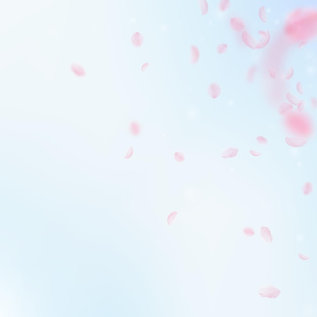 Pétalos de Sakura cayendo. Rincón romántico de flores rosas. Pétalos voladores sobre fondo cuadrado de cielo azul. Amor, concepto romántico. Sorprendente invitación de boda.