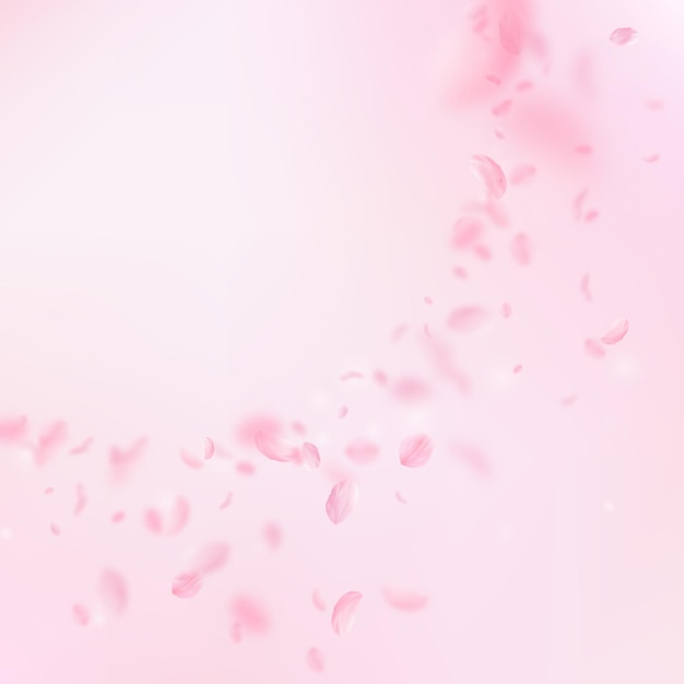 Pétalos de Sakura cayendo. Rincón romántico de flores rosas. Pétalos voladores sobre fondo cuadrado rosa. Amor, concepto romántico. Invitación de boda de tendencia.
