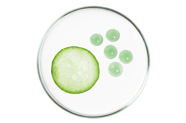 Petri-Schüssel isoliert auf leeren Hintergrund Gurkenscheiben und Sahne in einer Petri-schüssel