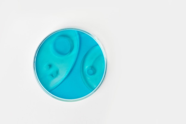 Petrischale auf hellem Hintergrund Mit blauer oder blauer Flüssigkeit Wasserflecken Öltropfen Laborglasstudie Chemische Elemente