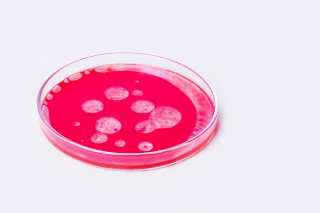 Petrischale auf hellem Hintergrund Mit roter Flüssigkeit und durchsetzt mit roten Tropfen Runde rote Kreise auf dem Wasser fließende Flüssigkeit Labor-Blutplasma-Studie