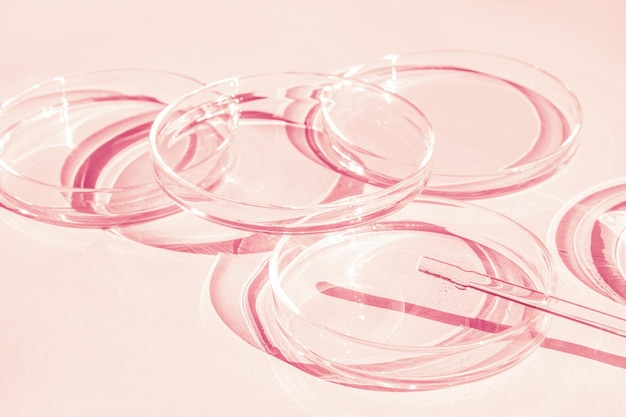 Petrischale Eine Reihe von Petrischalen Ein Pipettenglasröhrchen Auf einem rosafarbenen Hintergrund