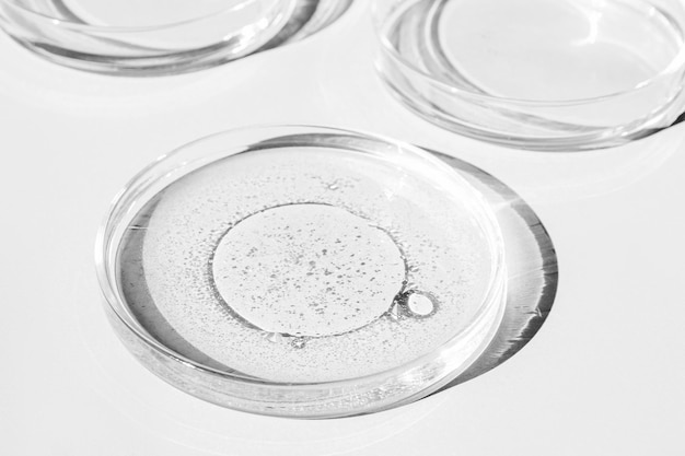Petrischale Petrischale mit Flüssigkeit Chemische Elemente Öl Kosmetik Gel Wassermoleküle Viren Closeup auf weißem Hintergrund