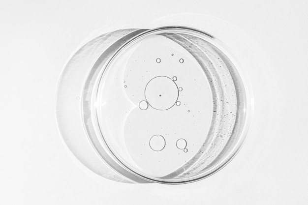 Petrischale Petrischale mit Flüssigkeit Chemische Elemente Öl Kosmetik Gel Wassermoleküle Viren Closeup auf weißem Hintergrund