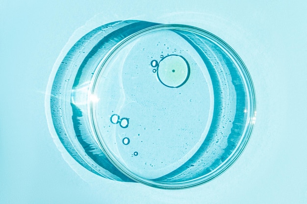 Petrischale Petrischale mit Flüssigkeit Chemische Elemente Öl Kosmetik Gel Wassermoleküle Viren Nahaufnahme Auf blauem Hintergrund