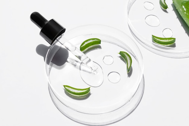 Petrischalen mit Aloe-Vera-Kosmetikgel und Stücken von Aloe-Vera-Pflanzenglastropfen auf weißem Hintergrund Kosmetisches Laborkonzept Natürliche Hautpflegeprodukte