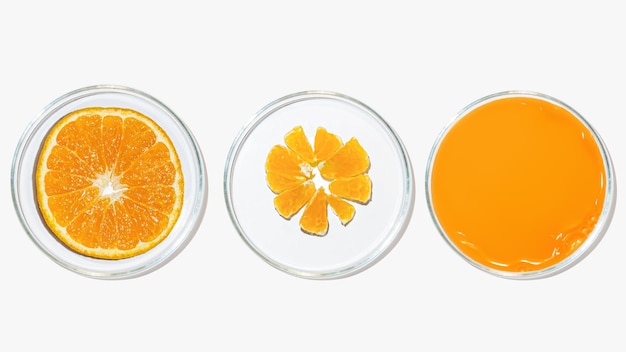 Petrischalen mit Orangenforschung Schneiden Sie Orangenforschung im Labor Bioengineering-Labor