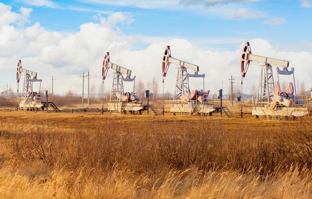 Petróleo balançando no campo. Três bombas de bombeamento de óleo extraem óleo