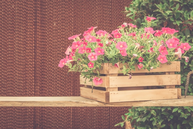 Petunia rosada en pote en la tabla de madera con efecto del vintage.