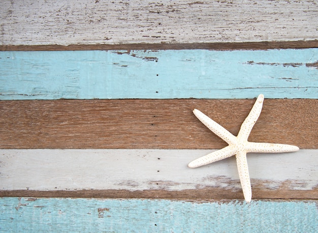 Pez estrella y animal marino sobre fondo de madera