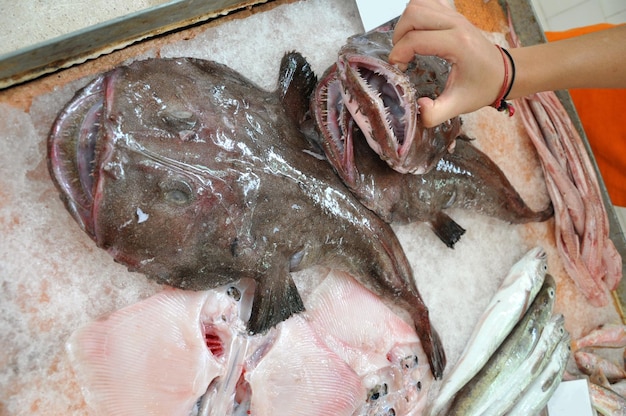 Pez pescador con la boca abierta y los dientes rasgados de cerca