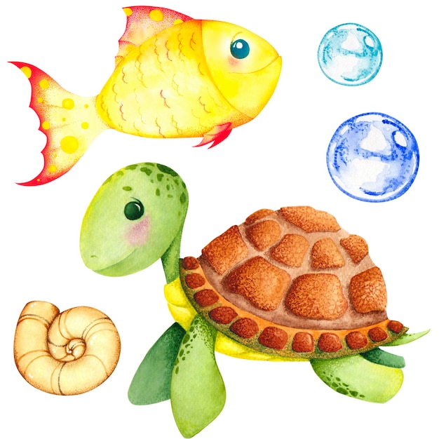Pez tortuga en el mar, concha. ilustracion acuarela