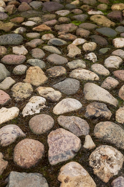 Pfad der dekorativen Steine auf dem Rasen Landschaftsgestaltung Hintergrund Platz für Text Vertikal