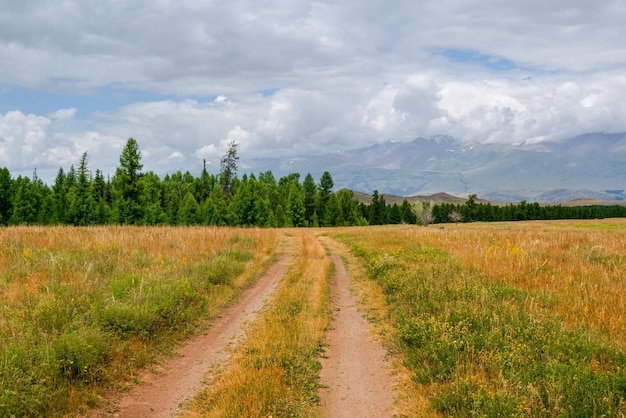 Pfad durch die Berge Wandern auf dem Bergpfad Eine helle atmosphärische Alpenlandschaft mit einem felsigen Pfad zwischen den Gräsern im Hochland Der Weg den Berghang hinauf