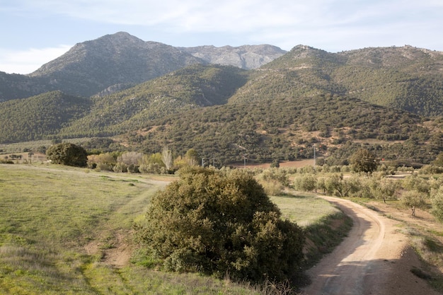 Pfad im Nationalpark Sierra Magina in Jaen, Spanien