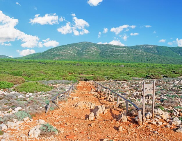 Pfad im Naturpark Capo Caccia