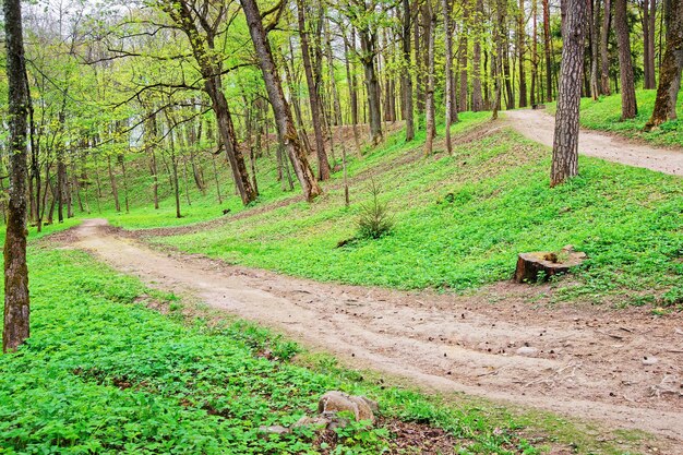 Pfad im öffentlichen Park Traku Voke in Vilnius, Litauen, Baltikum.