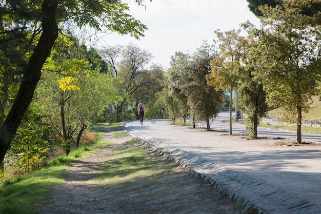 Pfad im Park Dehesa de la Villa, Madrid, Spanien