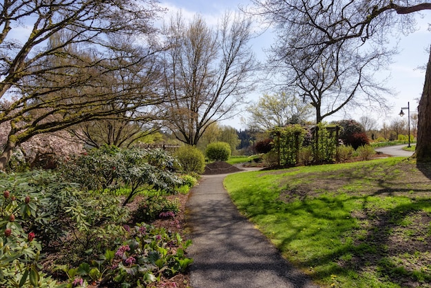 Pfad in einem grünen, lebendigen Garten mit bunten Blumen in einem modernen Stadtpark