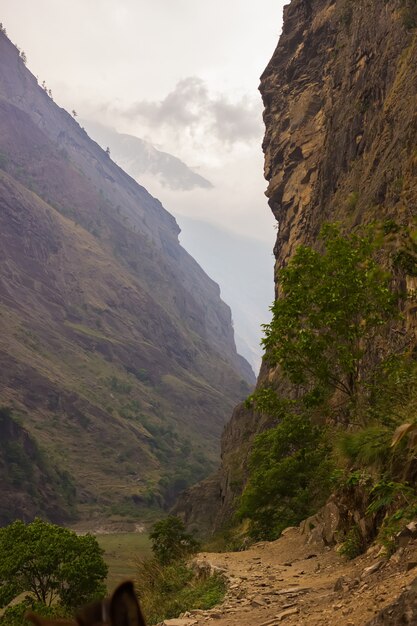 Pfad in einer Bergschlucht im Himalaya-Gebirge im Bezirk Manaslu. Nepal