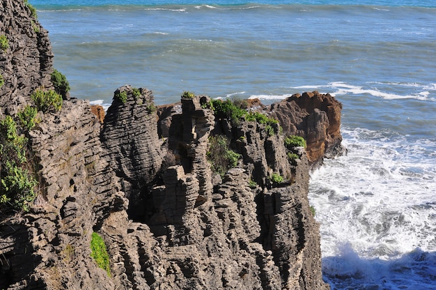 Pfannkuchenfelsen bei Punakaiki Landschaft, Westküste, Südinsel, Neuseeland