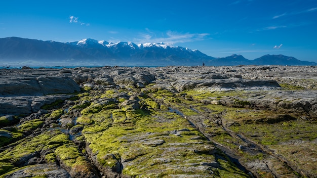 Pfannkuchenfelsen in Neuseeland