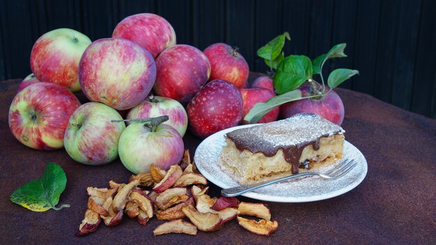 Äpfel frisch und getrocknet