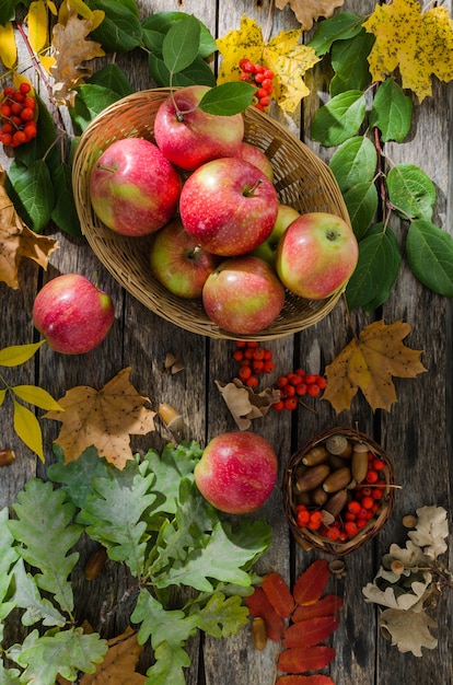 Äpfel im Weidenkorb auf einem Hintergrund von Herbstblättern und alten Brettern auf dem Tisch