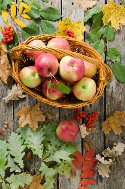 Äpfel im Weidenkorb auf einem Hintergrund von Herbstblättern und alten Brettern auf dem Tisch
