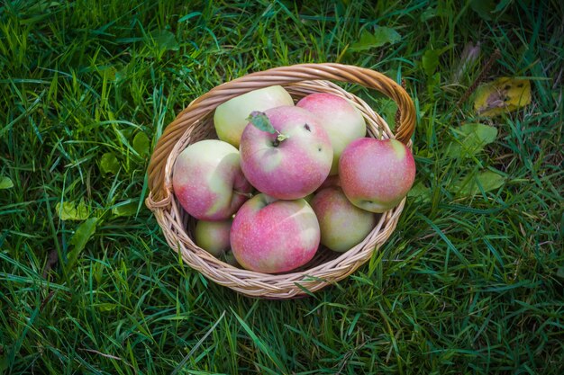 Äpfel in einem Korb