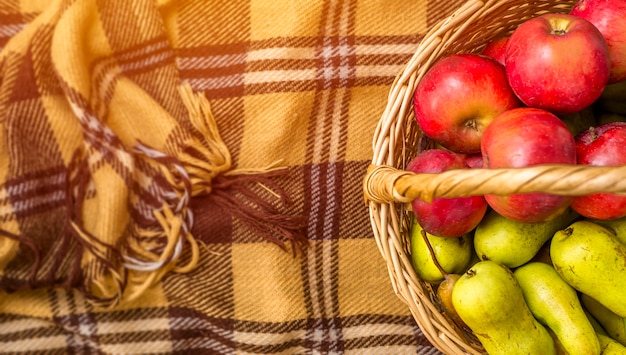 Äpfel und Birnen im Korb. Herbstfrüchte.