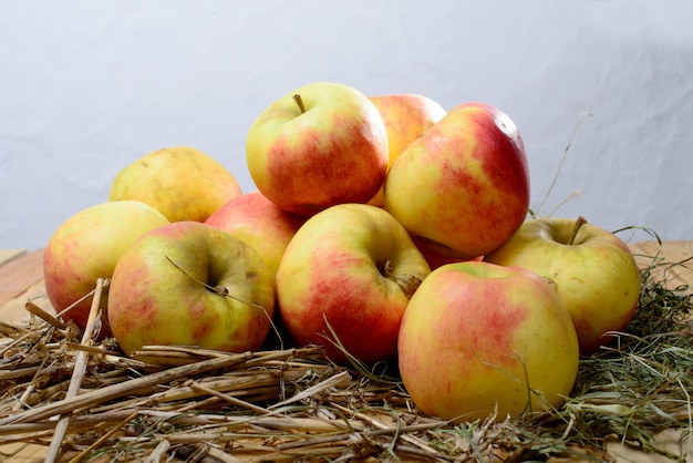 Äpfel zu Apfelwein machen