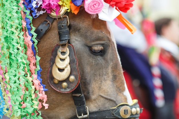 Foto pferd beim traditionellen mährischen königsrittfest in vlcnov, tschechische republik