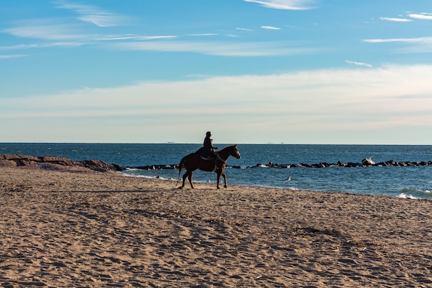 Pferd, das tagsüber von einem Mädchen am Strand geritten wird