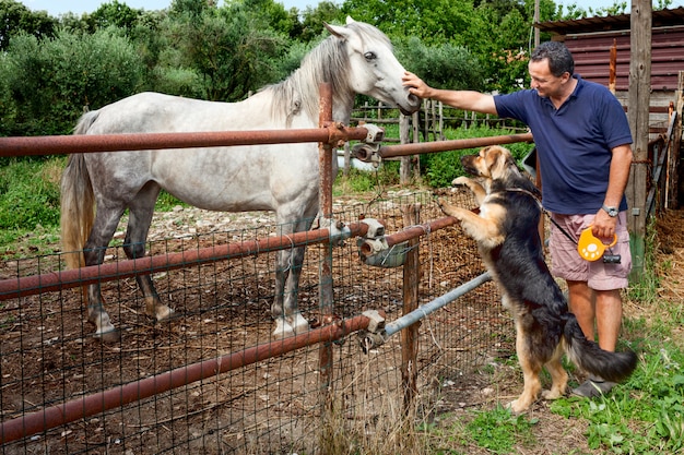 Pferd, Hund und Mensch