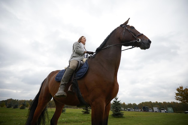 Pferd steht auf dem Feld gegen den Himmel