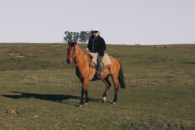 Foto pferde reiten auf dem feld gegen den himmel