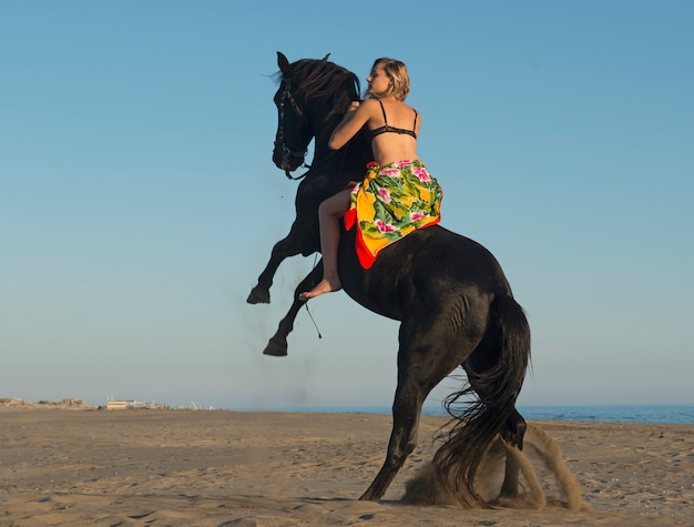 Pferdefrau und ihr schwarzer Hengst am Strand