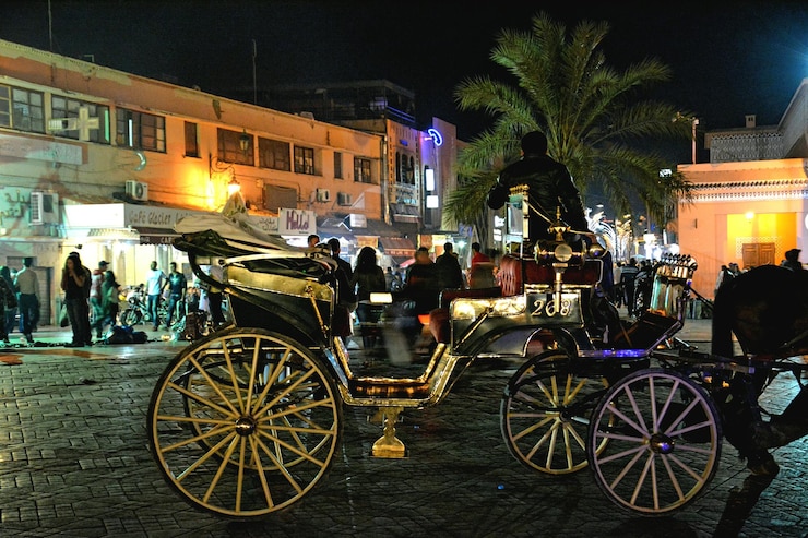 Foto pferdekutsche auf der straße in der stadt in der nacht