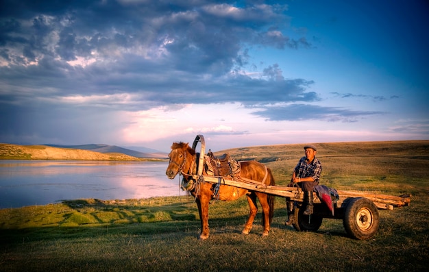 Pferdemann, der auf einem Pferdewagen in Mongolei sitzt