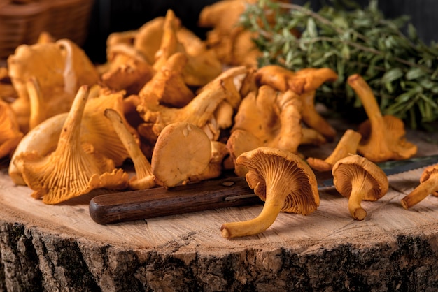 Pfifferlinge der rohen Wildpilze im Korb mit Dill auf Holzoberfläche