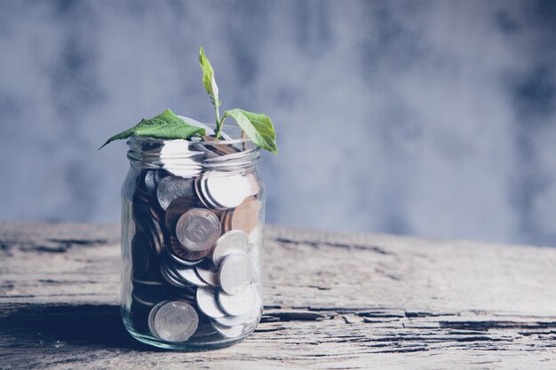 Pflanze wächst aus Glas mit Münzen auf Holztisch - Investitionswachstum Concep