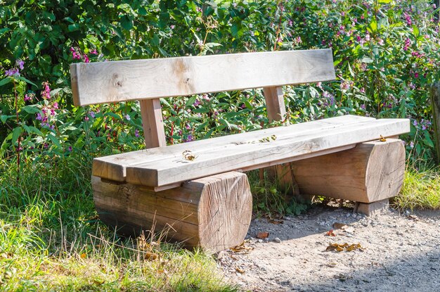 Foto pflanzen auf holz