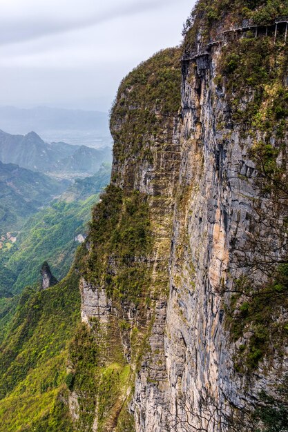 Pflanzen, die auf Felsen gegen den Himmel wachsen