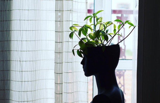 Pflanzen, die zu Hause in Mannequins wachsen