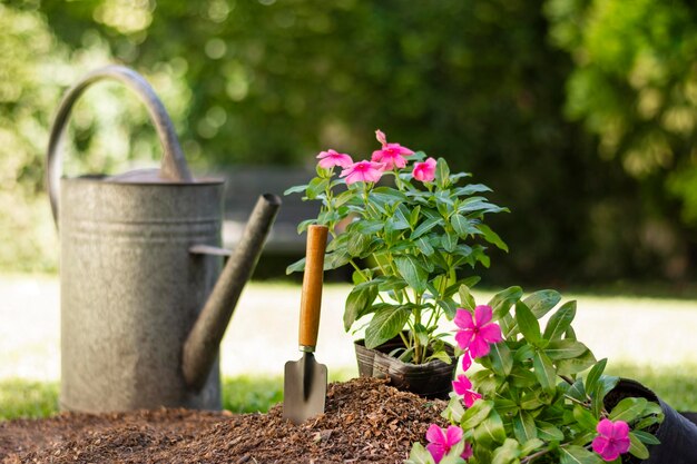 Foto pflanzen gartenwerkzeuge aus der nähe