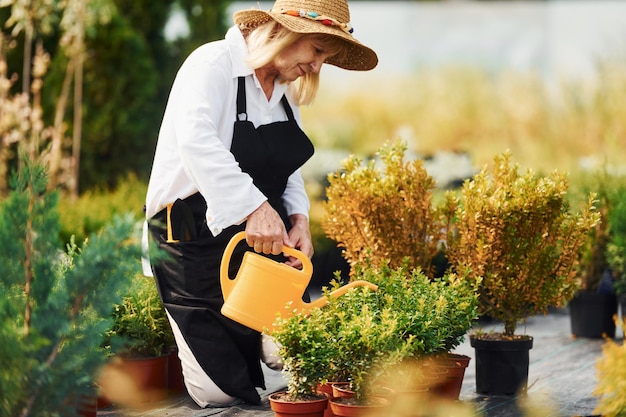 Foto pflanzen gießen ältere frau ist tagsüber im garten