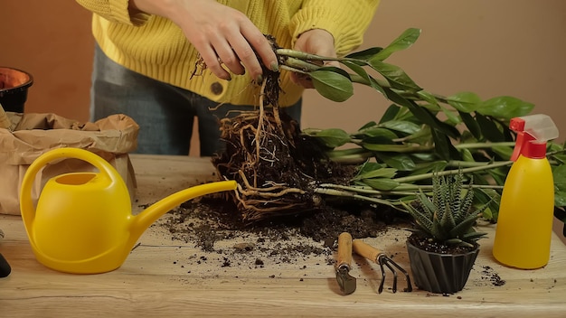 Pflanzen in einen anderen Topf umpflanzen, Gartengeräte liegen auf einem Holztisch, eine Schaufel, ein gelbes Wateri