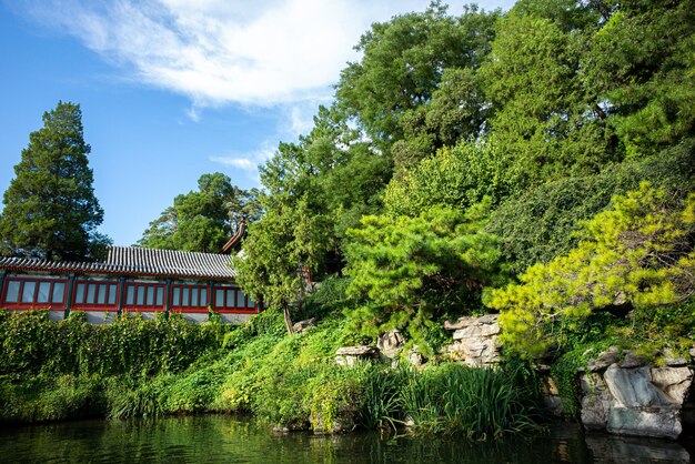 Foto pflanzen und bäume am see gegen das gebäude